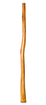 Gloss Finish Didgeridoo (TW1436)